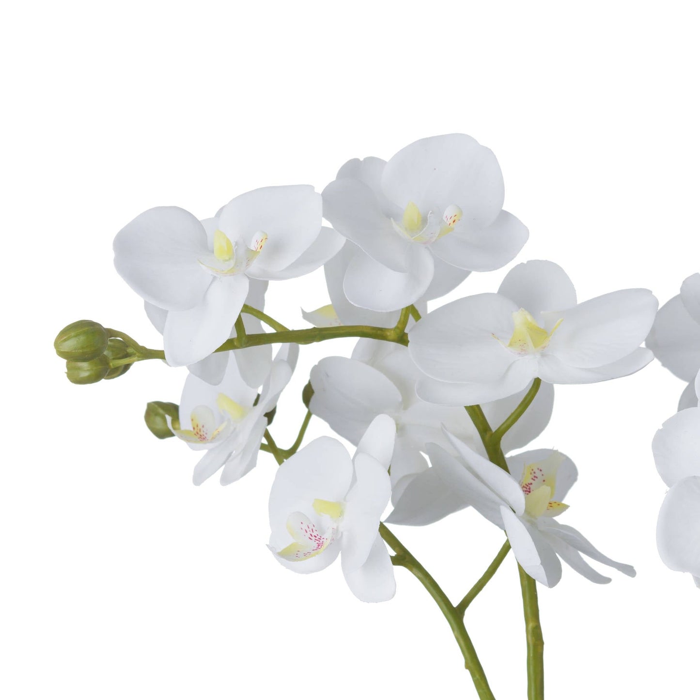 Artificial White Orchid in Glass Bowl 61x21cm