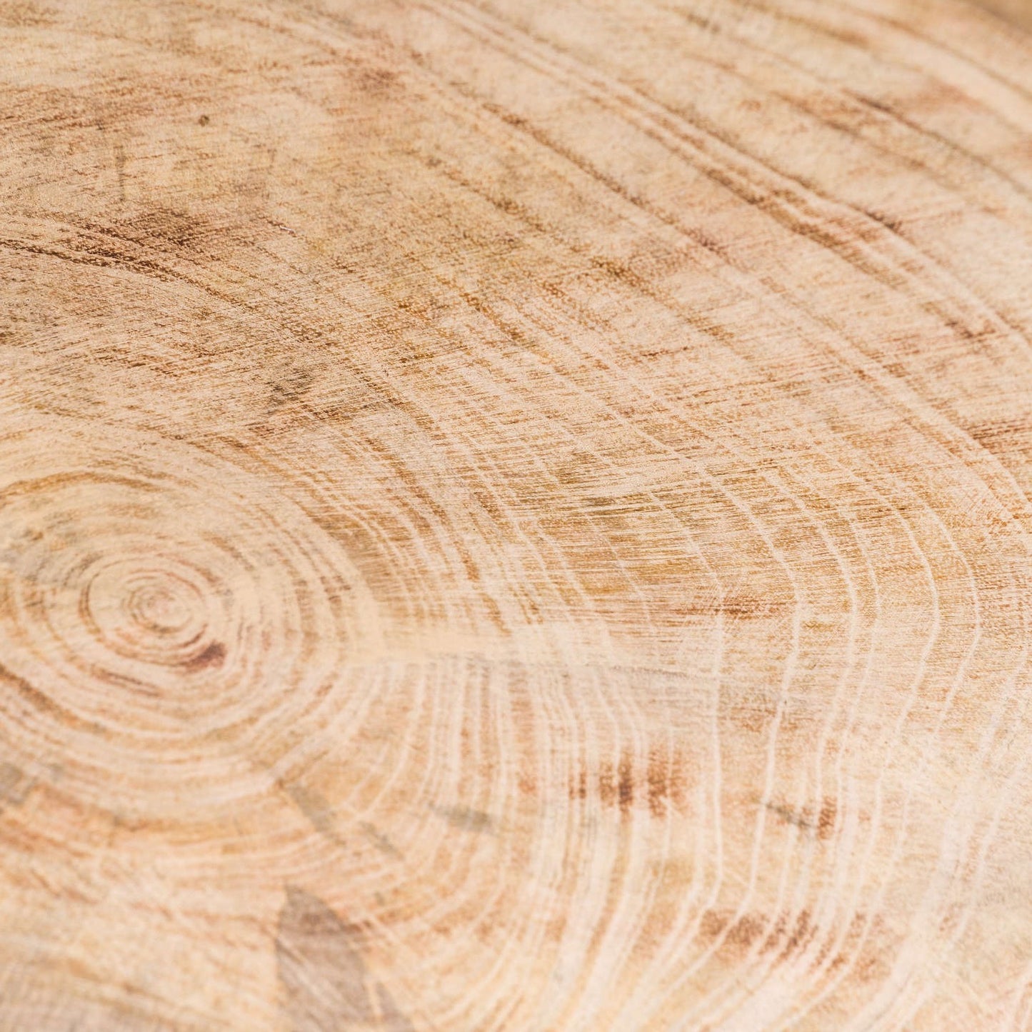 Rustic Mango Wood Storage Dish