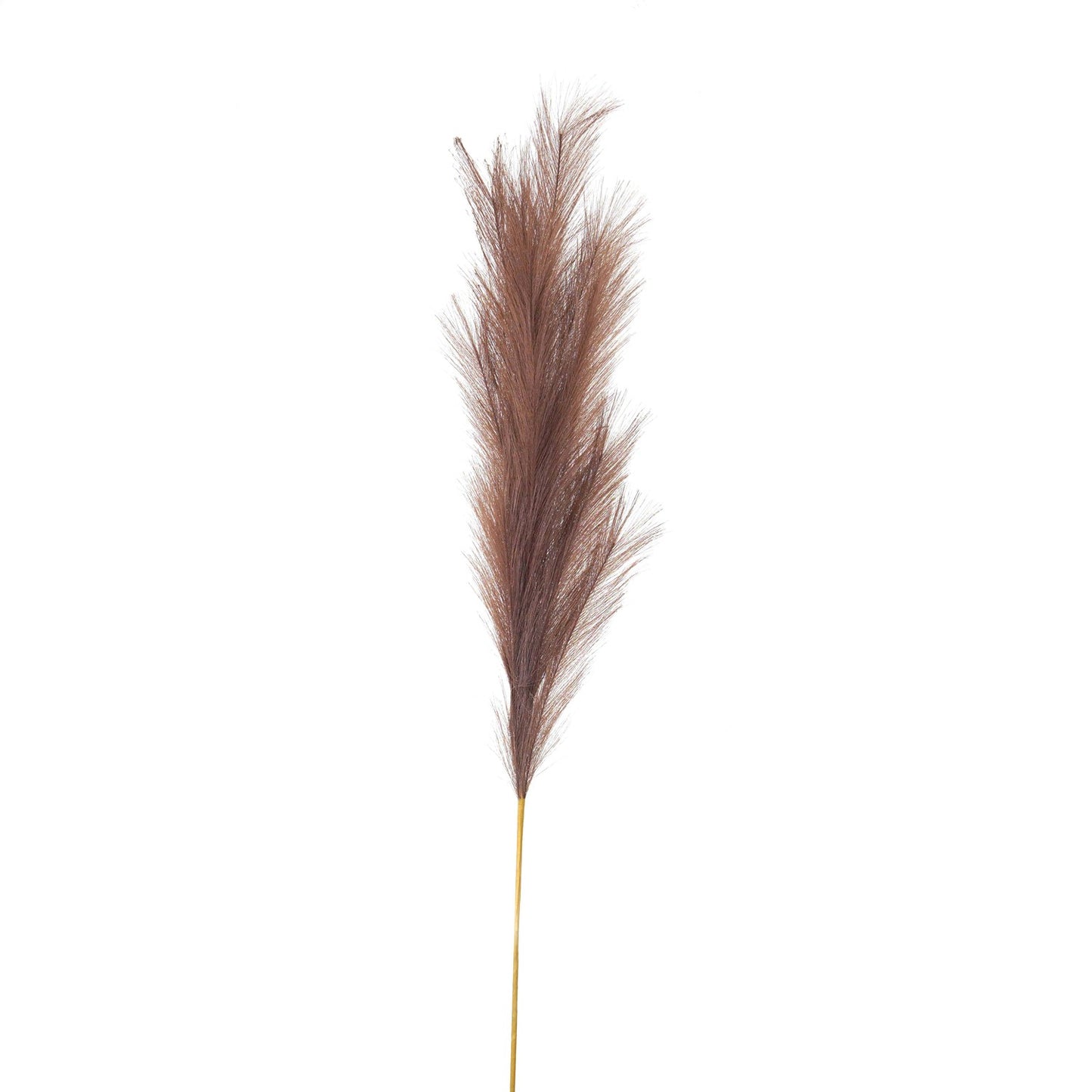 Taupe Faux Pampas Grass Stem 120cm