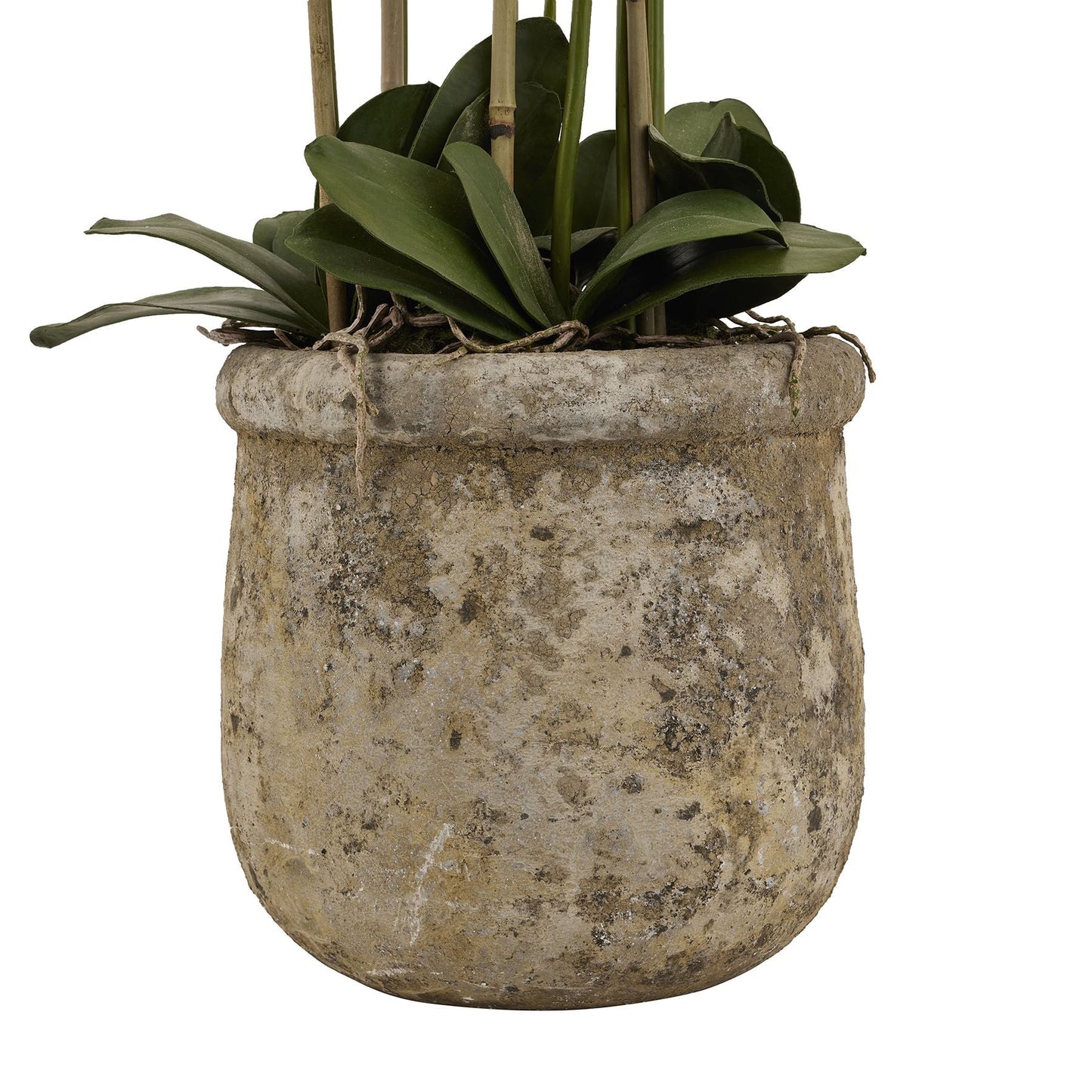 Artificial Extra Large Floor Standing White Orchid in Rustic Pot 153x40cm