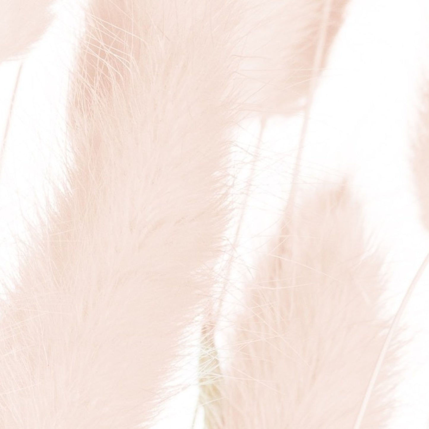 Pink Bunny Tails Bunch of 40