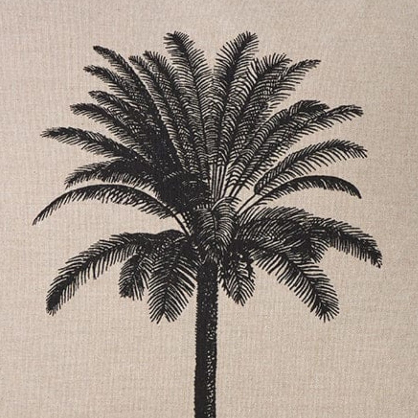 Sand and black cushion 50x50 Palm and tropical coastal design
