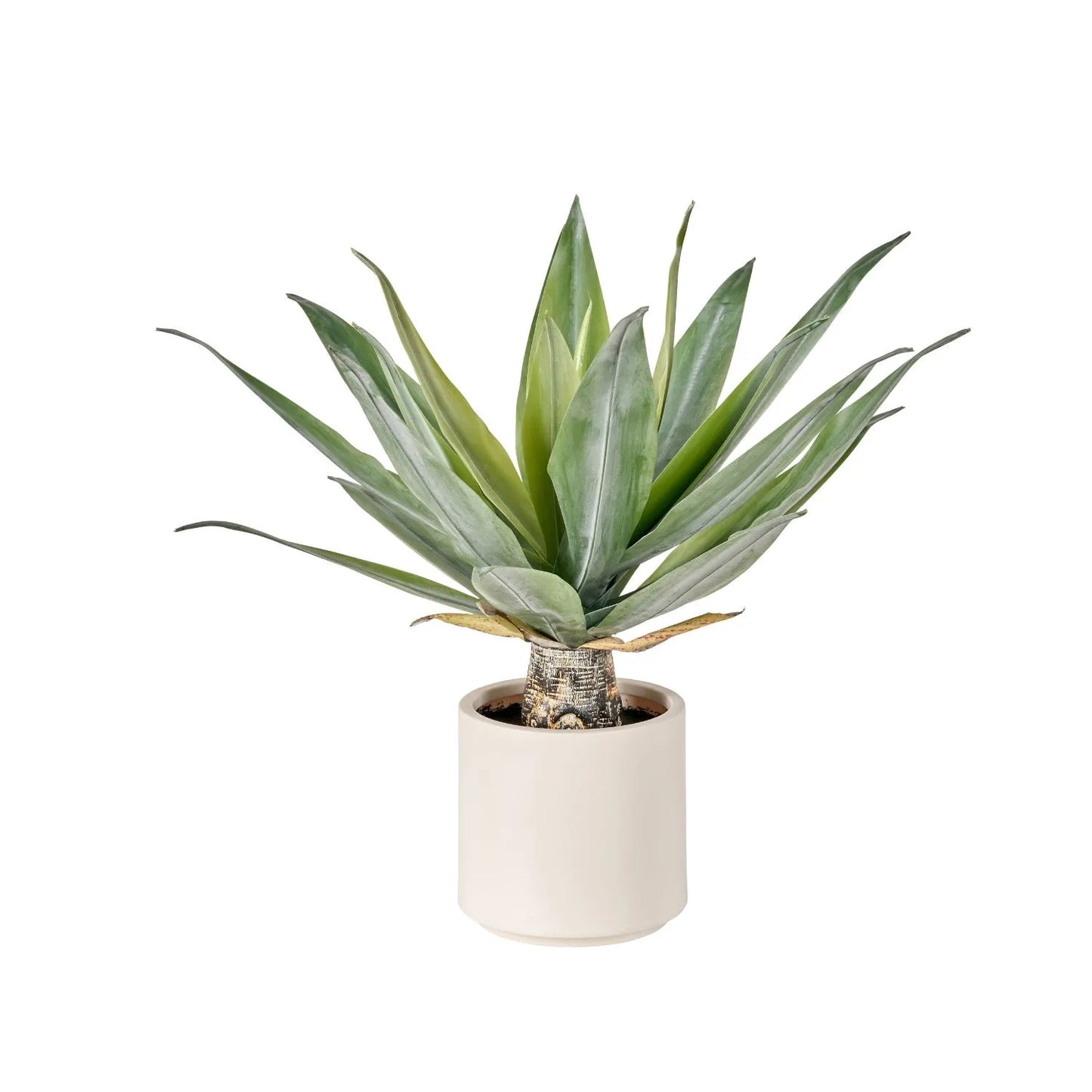 Artificial Agave Plant with Neutral Cream Pot – Realistic Faux Potted Succulent for Indoor Decor 53x60x60cm - Click Style