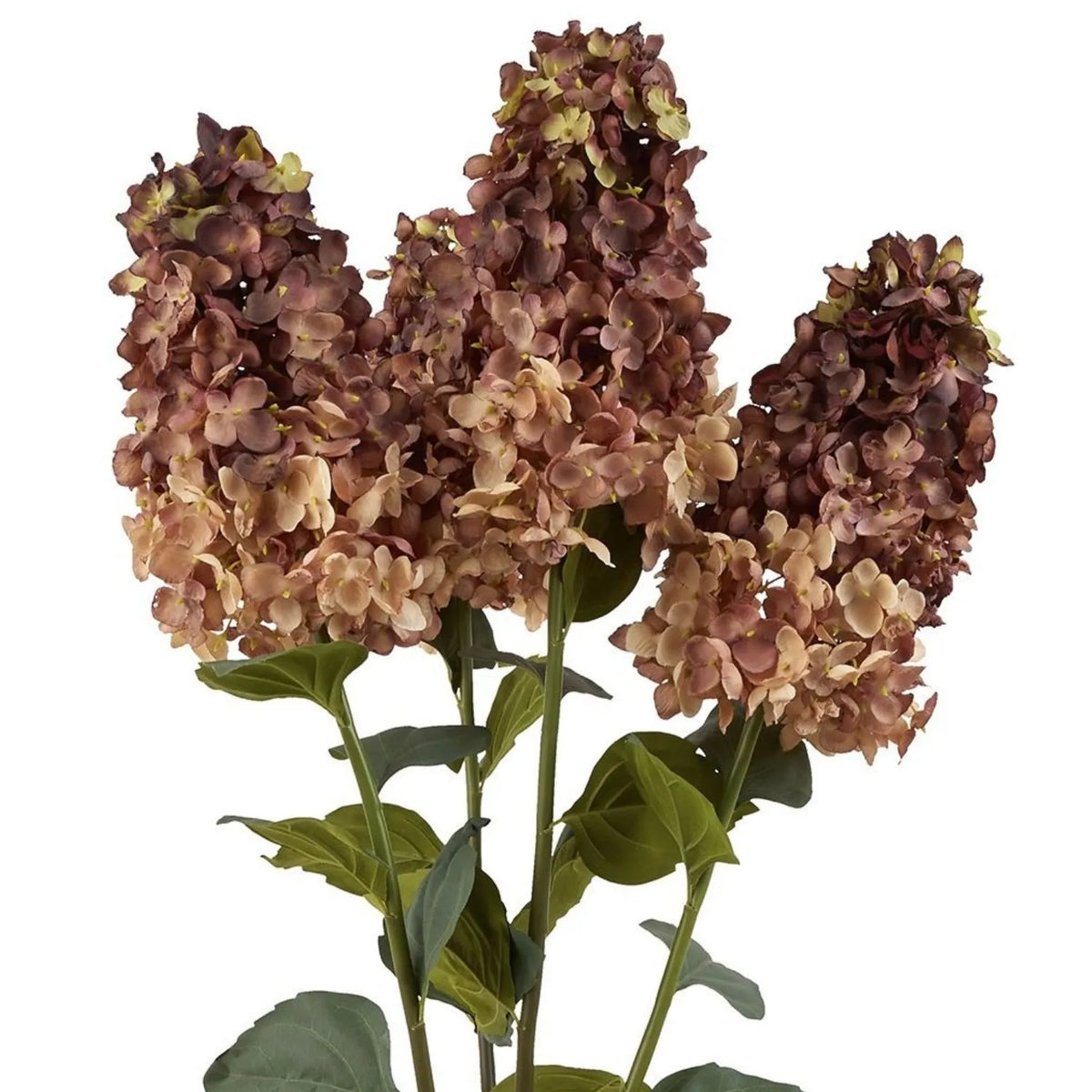 Artificial Burgundy & Peach Long Stem Spear Hydrangea with Realistic Green Leaves – Tall Faux Hydrangea Flower 88cm – Three Artificial Hydrangea Stems Grouped Together Showing Full Burgundy & Peach Flower Heads and Green Foliage | Click Style