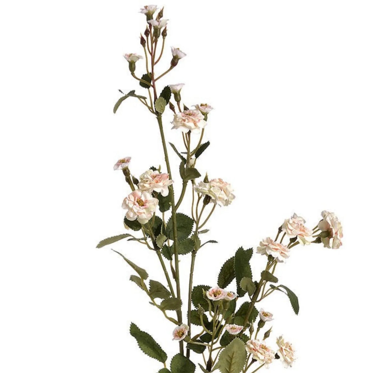 Artificial Cream & Pale Blush Wild Meadow Rose Spray with Long Stem Multiple Blooms & Rosebuds – Lifelike Pink Faux Rose Flowers with Realistic Green Foliage 74cm – Detailed Stem View Showing Natural Branching & Flower Clusters | Click Style