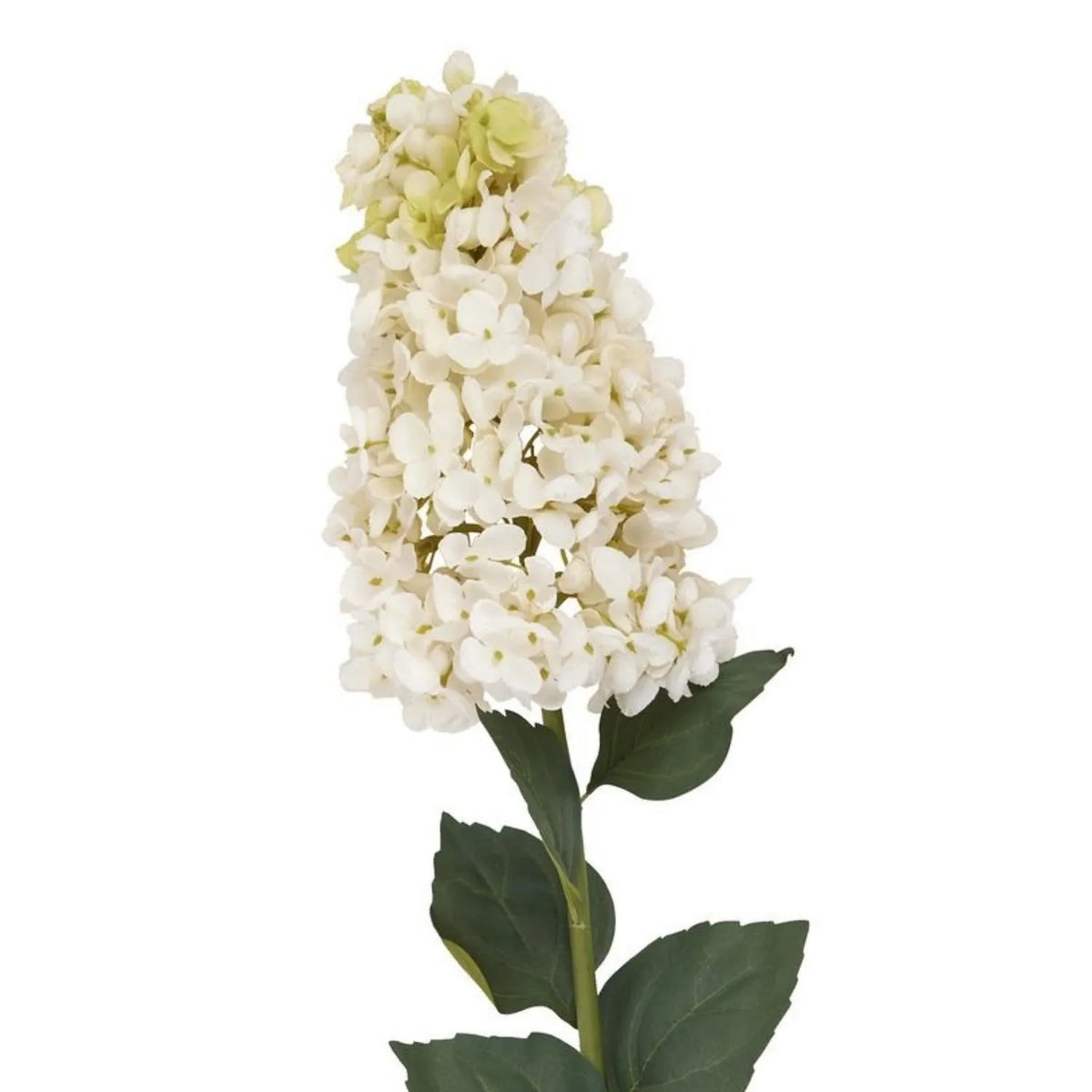 Artificial Creamy White Long Stem Spear Hydrangea with Pointed Flower Head & Realistic Green Leaves – Tall Faux Cream Hydrangea Flower 88cm Detailed View of Tapered Flower Head with Small Creamy White Petals and Pale Green Tips | Click Style