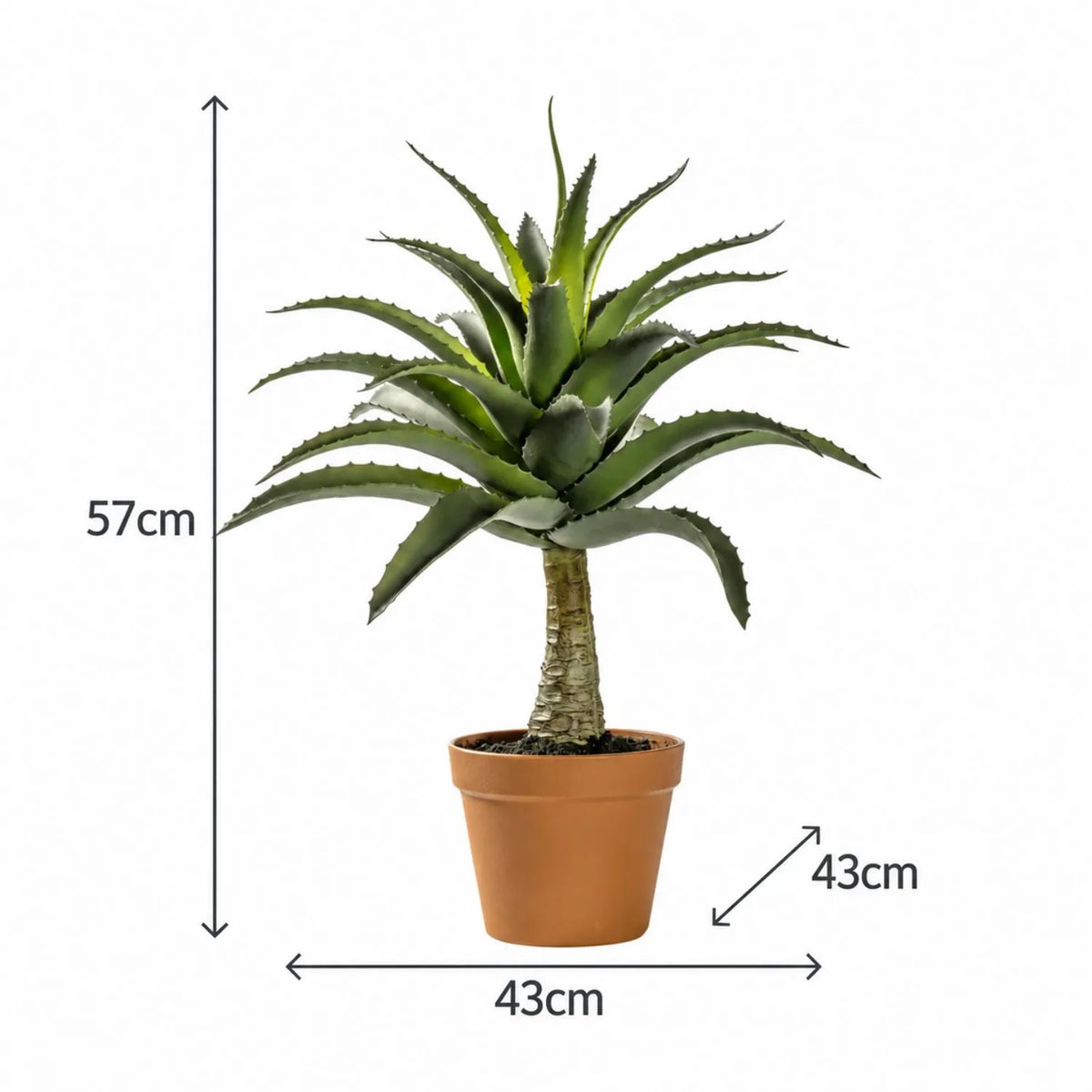 Artificial Green Agave Succulent Plant with Spiky Leaves & Textured Trunk in Terracotta Coloured Pot – Realistic Potted Faux Desert Plant 57x43x43cm with height, width and depth measurements displayed | Click Style