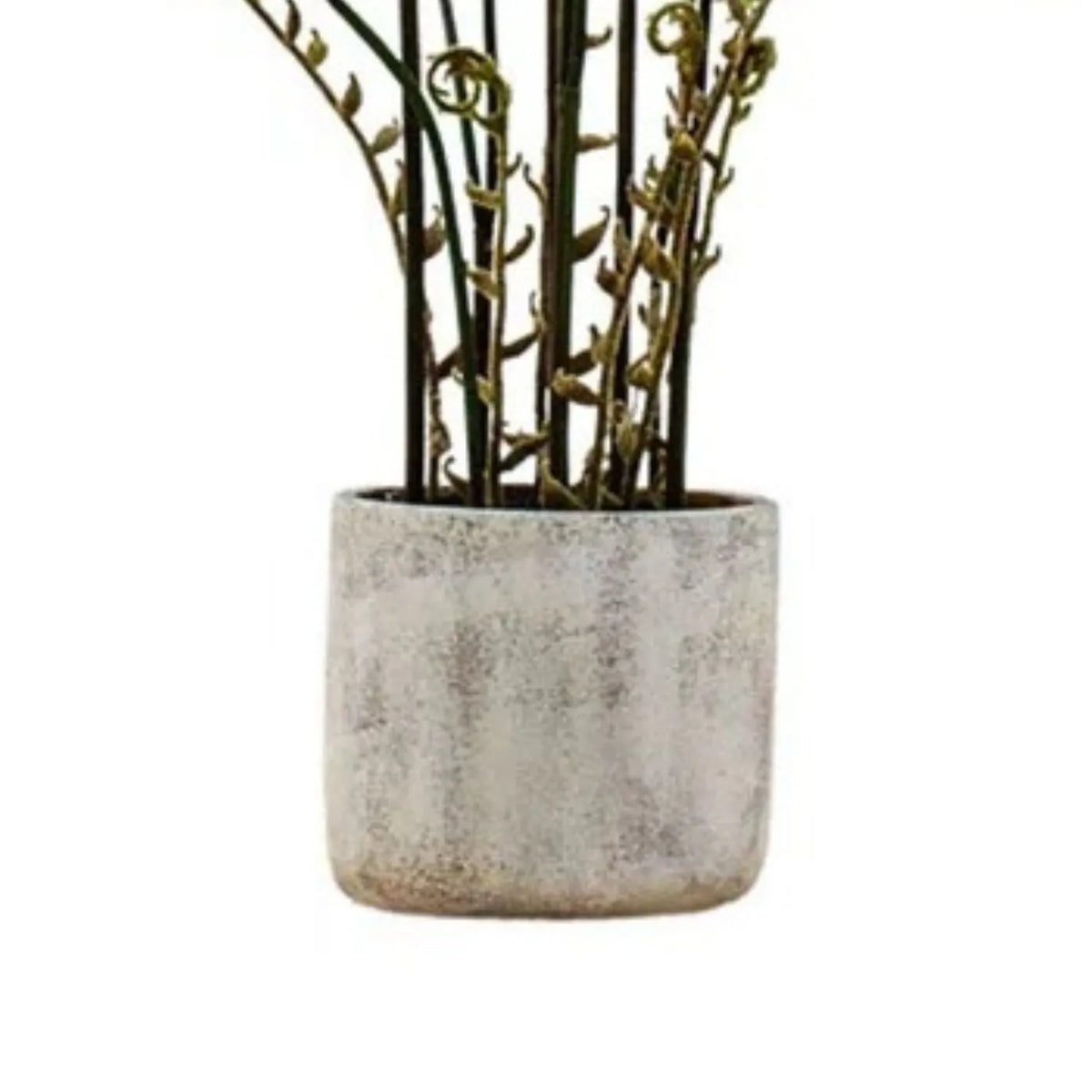 Artificial Tall Green Fern Plant in Distressed Cement Pot with Realistic Fronds – Lifelike Faux Indoor Plant 107x41x41cm close-up of the cylindrical cream-grey cement pot with its lightly distressed textured finish | Click Style