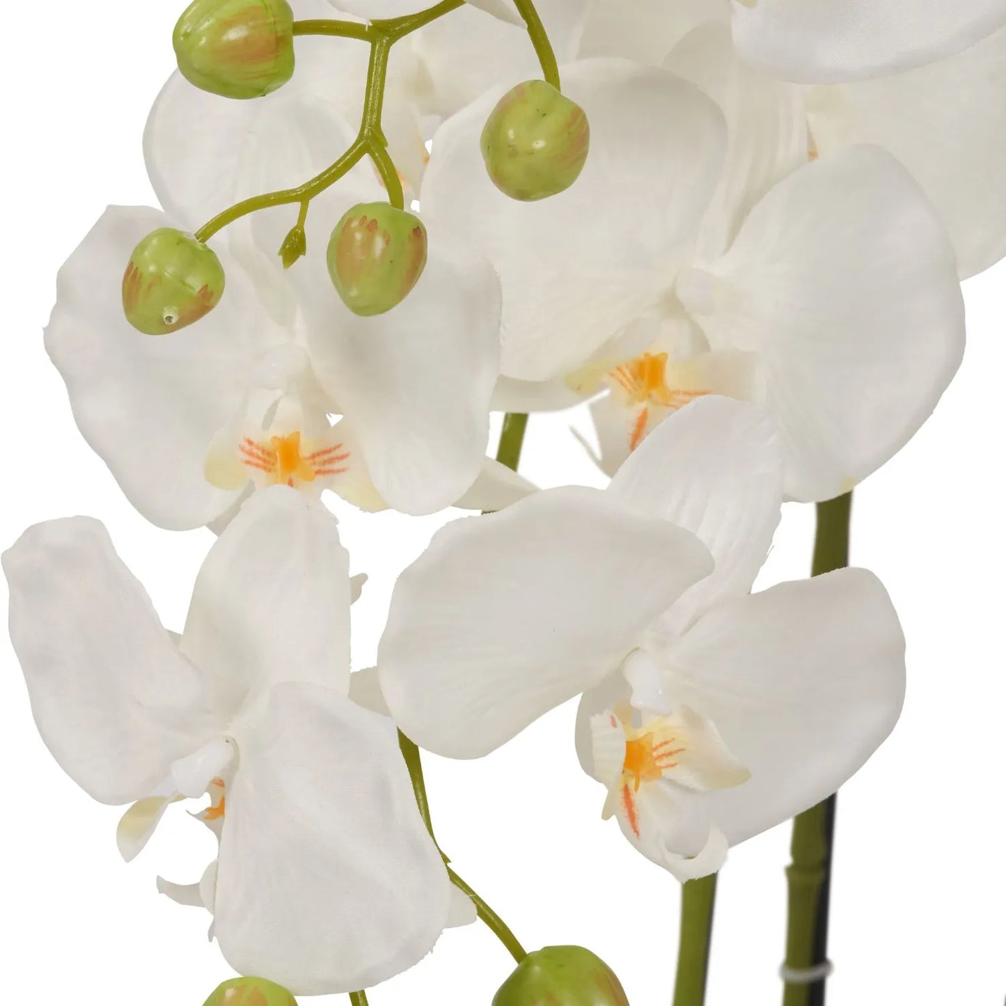 Artificial White Orchid Plant with Moss-Effect Base – Realistic Tabletop Faux Flowers for Indoor Decor 80x35x35cm - Click Style