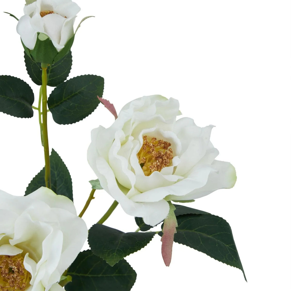 Artificial White Tea Rose Stem with Open Blooms & Rosebud – Lifelike White Faux Rose Flowers with Realistic Green Foliage 60cm – Close-Up of White Rose Bloom Golden Stamens & Serrated Green Leaves | Click Style