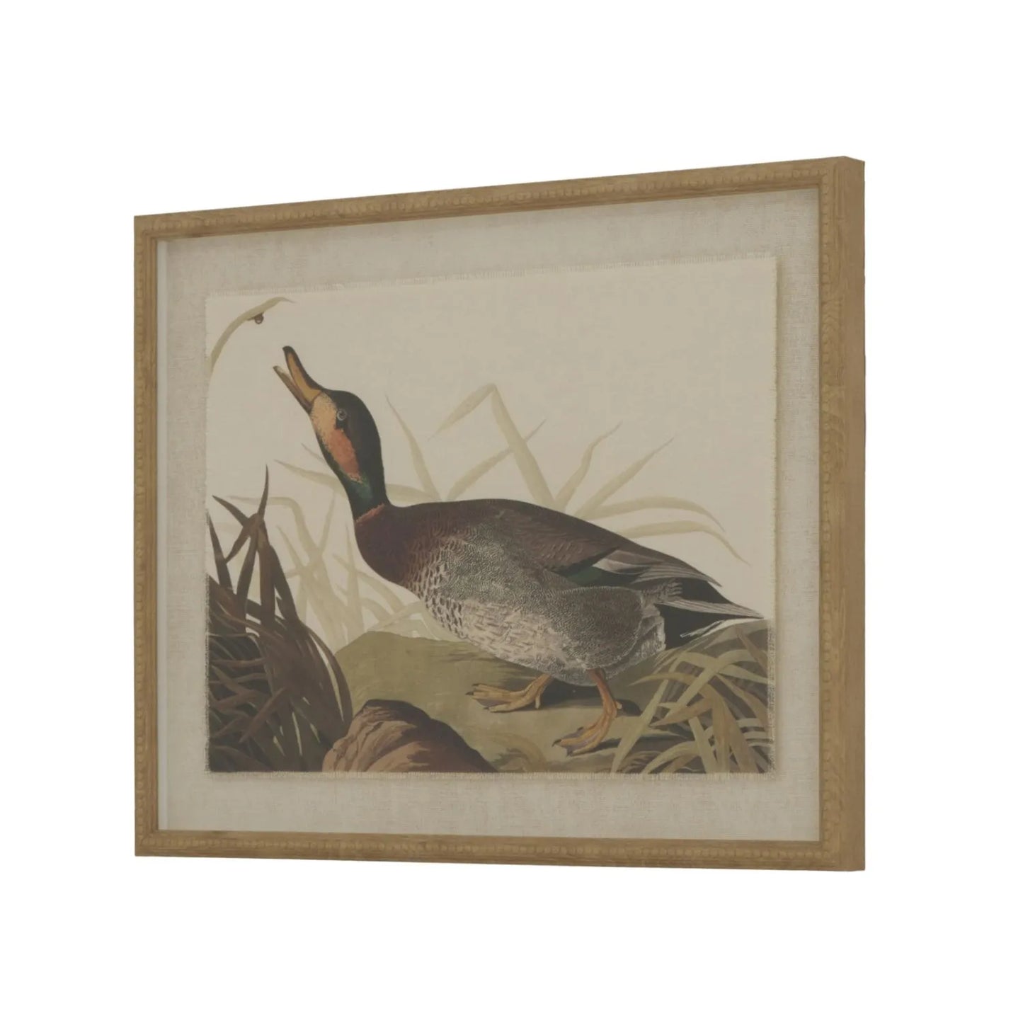 Neutral Ornithological Duck Bird Print with Linen Background – Beaded Wooden Frame Framed Wall Art 40x50x2cm | Click Style