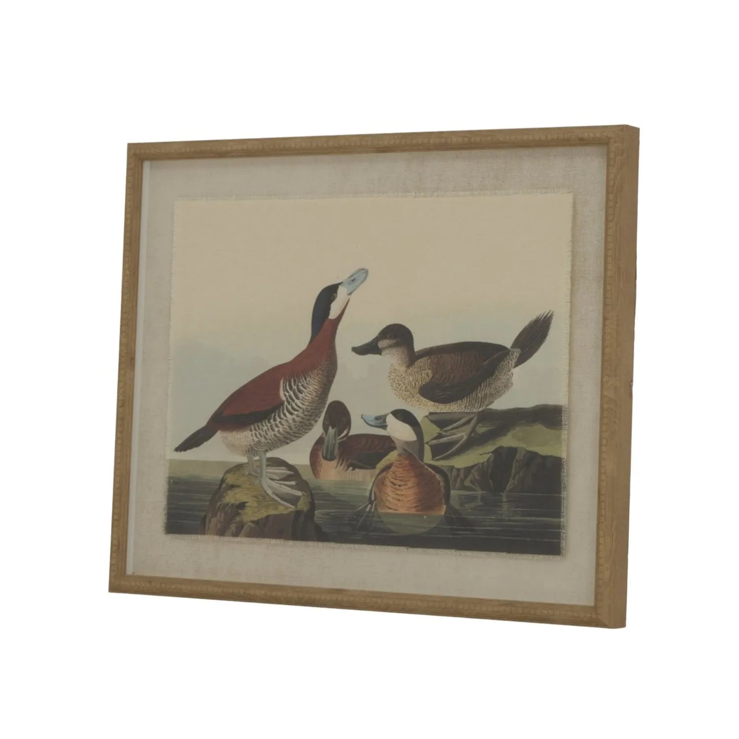 Neutral Ornithological Ducks Bird Print with Linen Background – Beaded Wooden Frame Framed Wall Art 40x50x2cm | Click Style