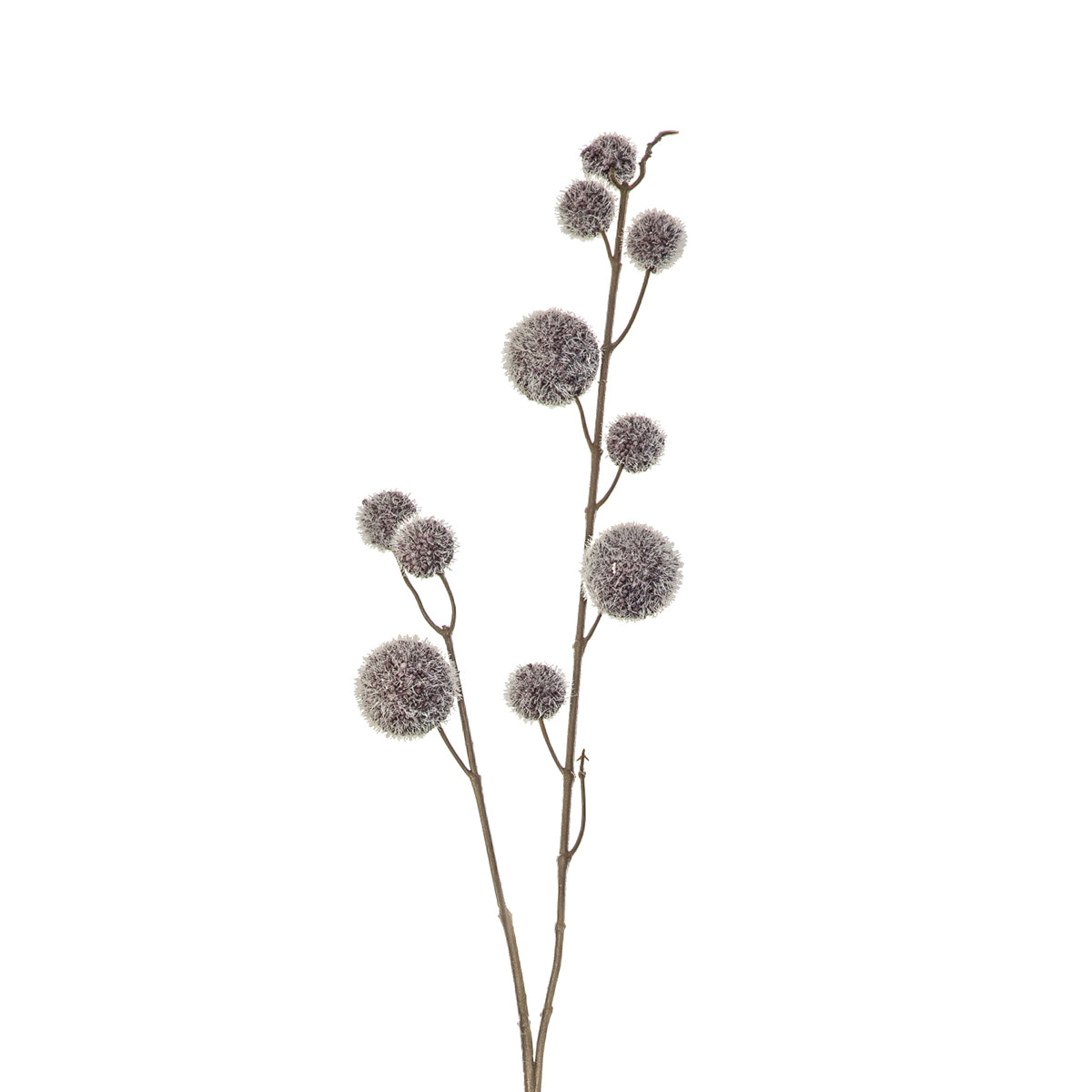 Artificial Dried Pale Grey Pom Pom Spray Bunch of 6 Stems– Click Style