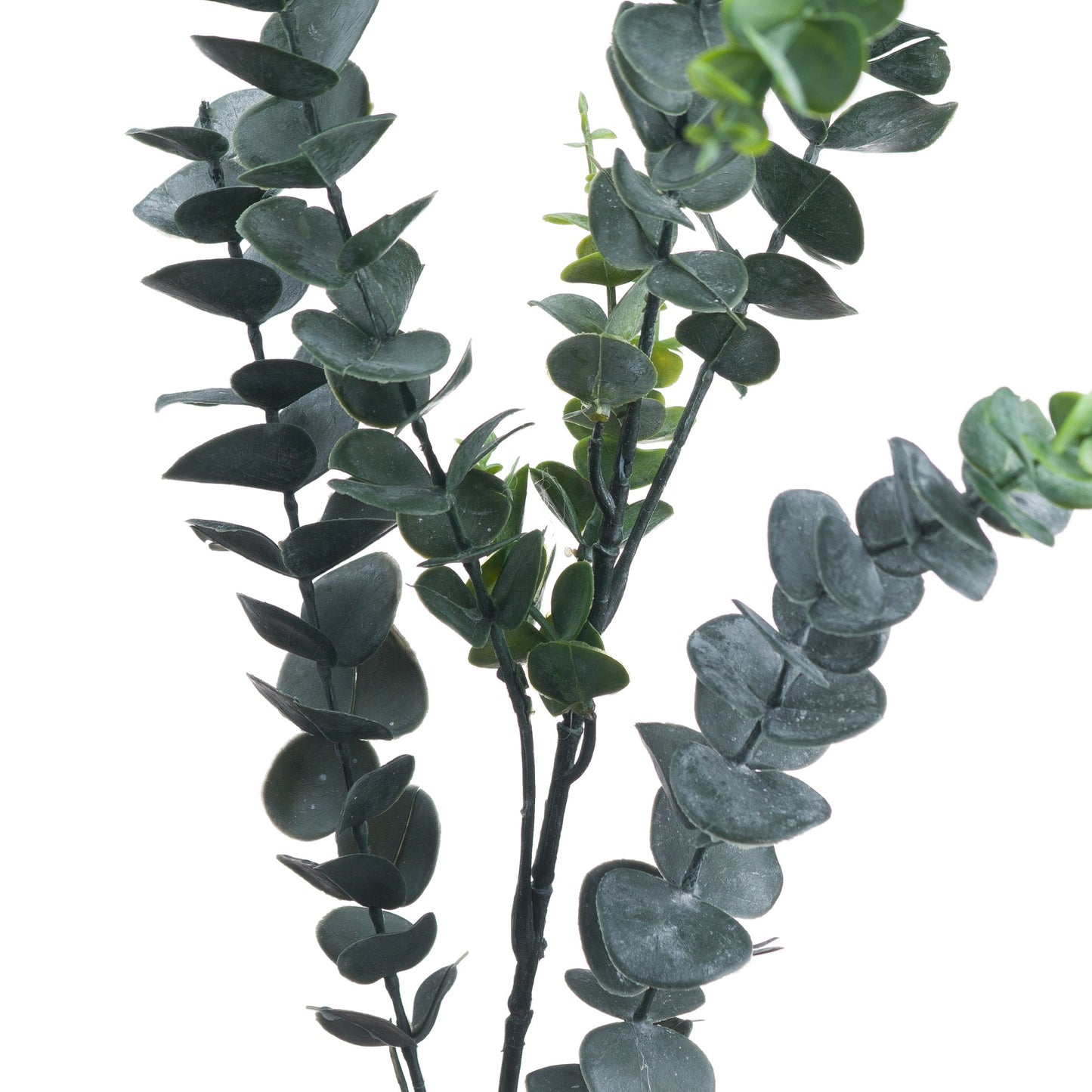 Artificial Tall Silver Dollar Eucalyptus Branch – Click Style