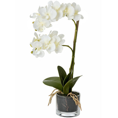 Artificial White Orchid Plant in Glass Pot 53x12cm