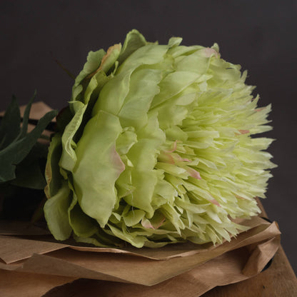 Artificial Pale Green Peony Stem