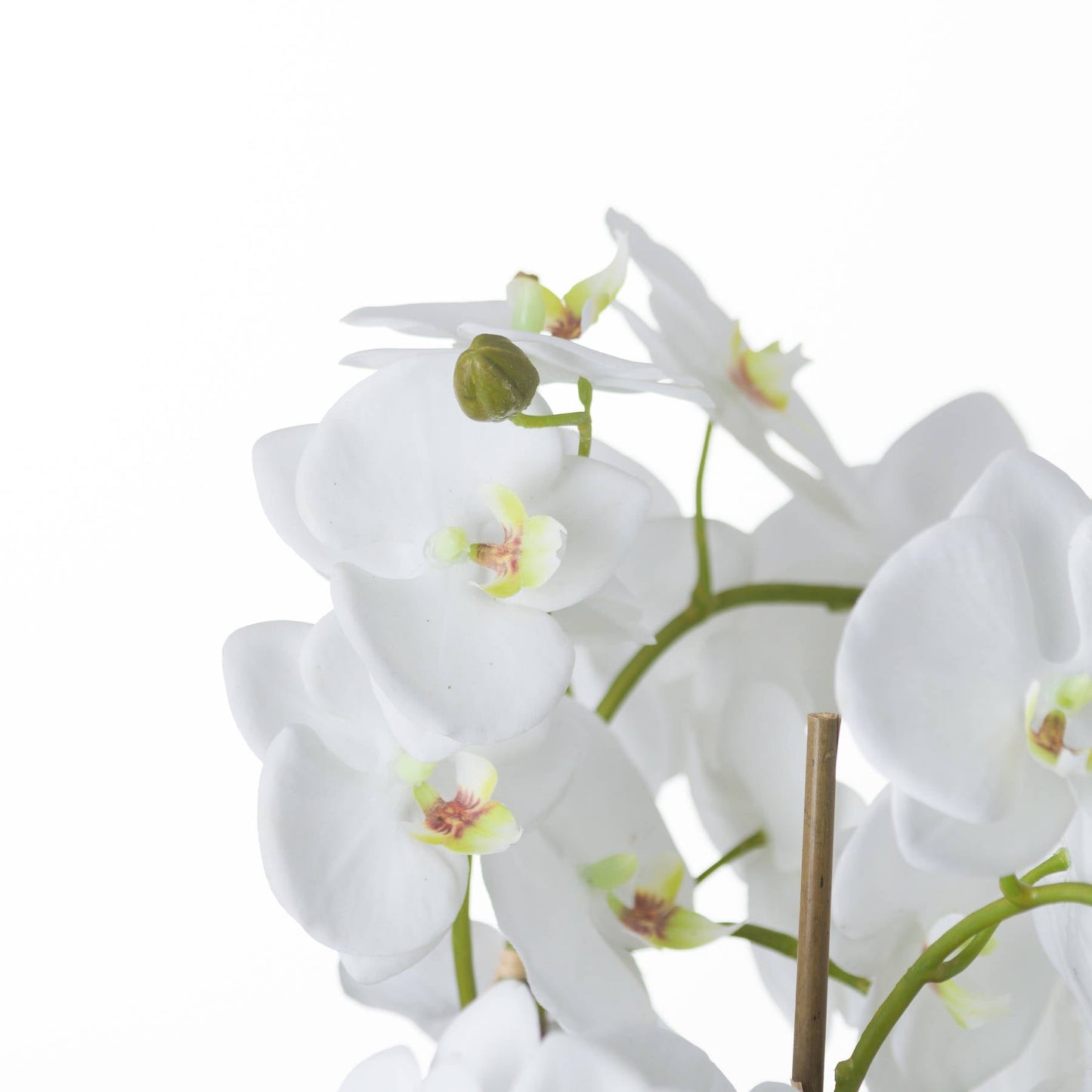 Artificial White Orchid & Fern Arrangement with Root Ball 57x33cm