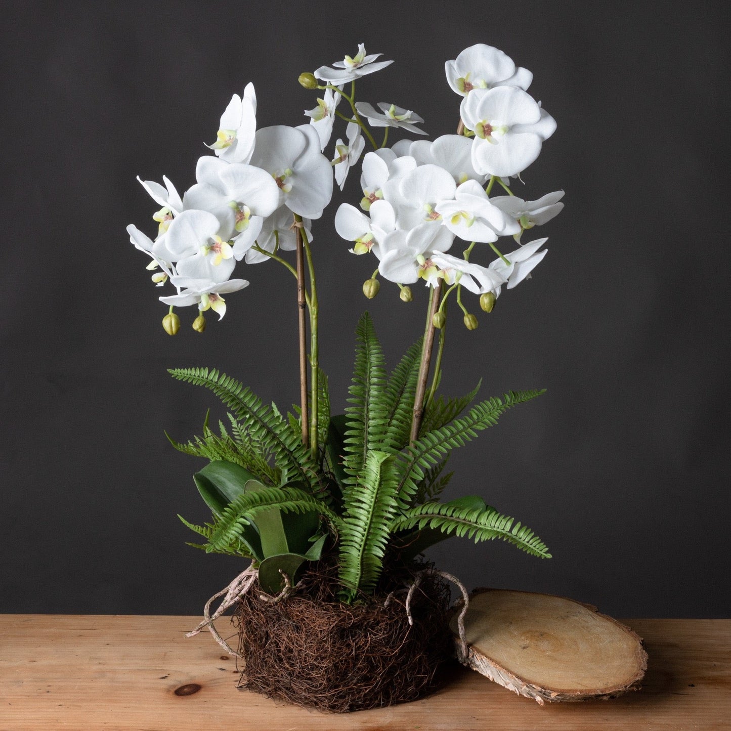 Artificial White Orchid & Fern Arrangement with Root Ball 57x33cm