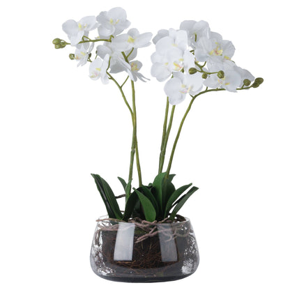 Artificial White Orchid in Glass Bowl 61x21cm