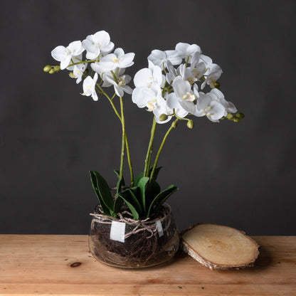 Artificial White Orchid in Glass Bowl 61x21cm