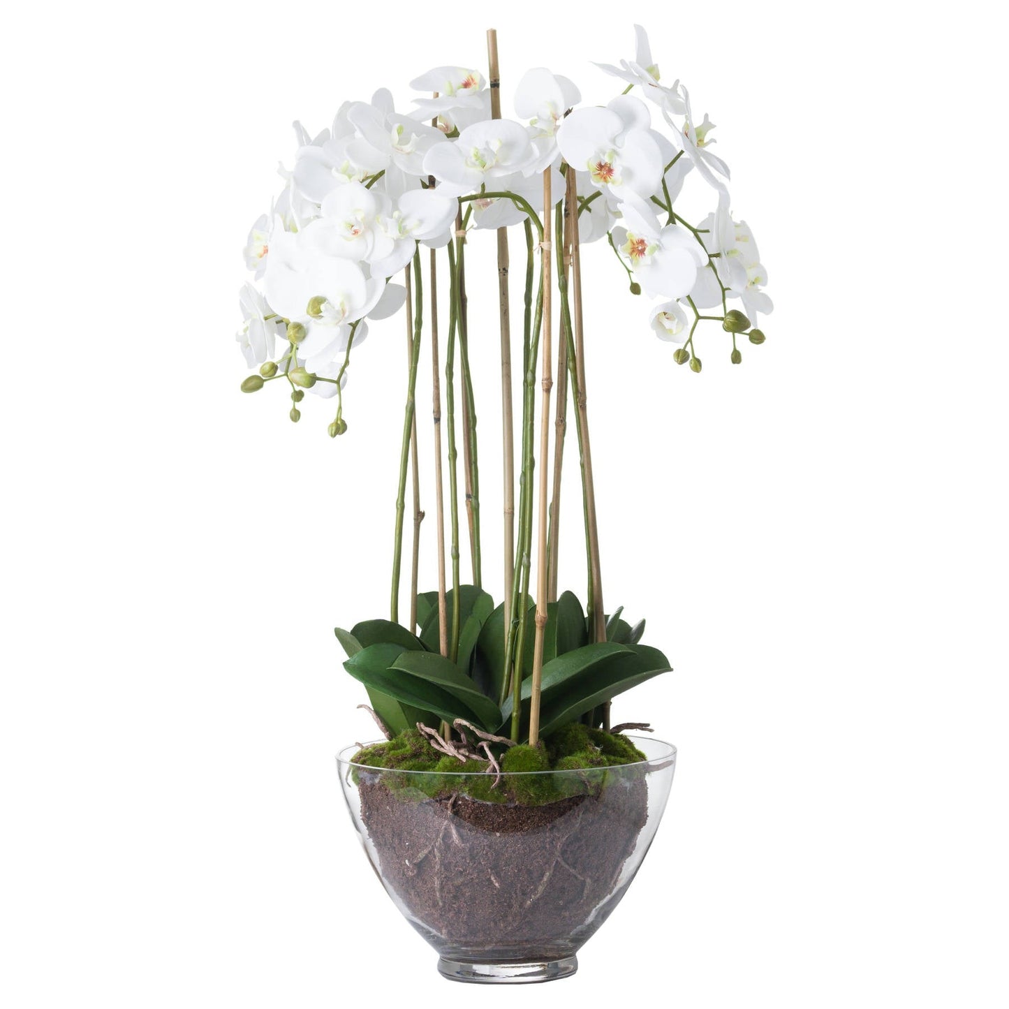 Artificial Tall White Orchid in Glass Pot 88x30cm
