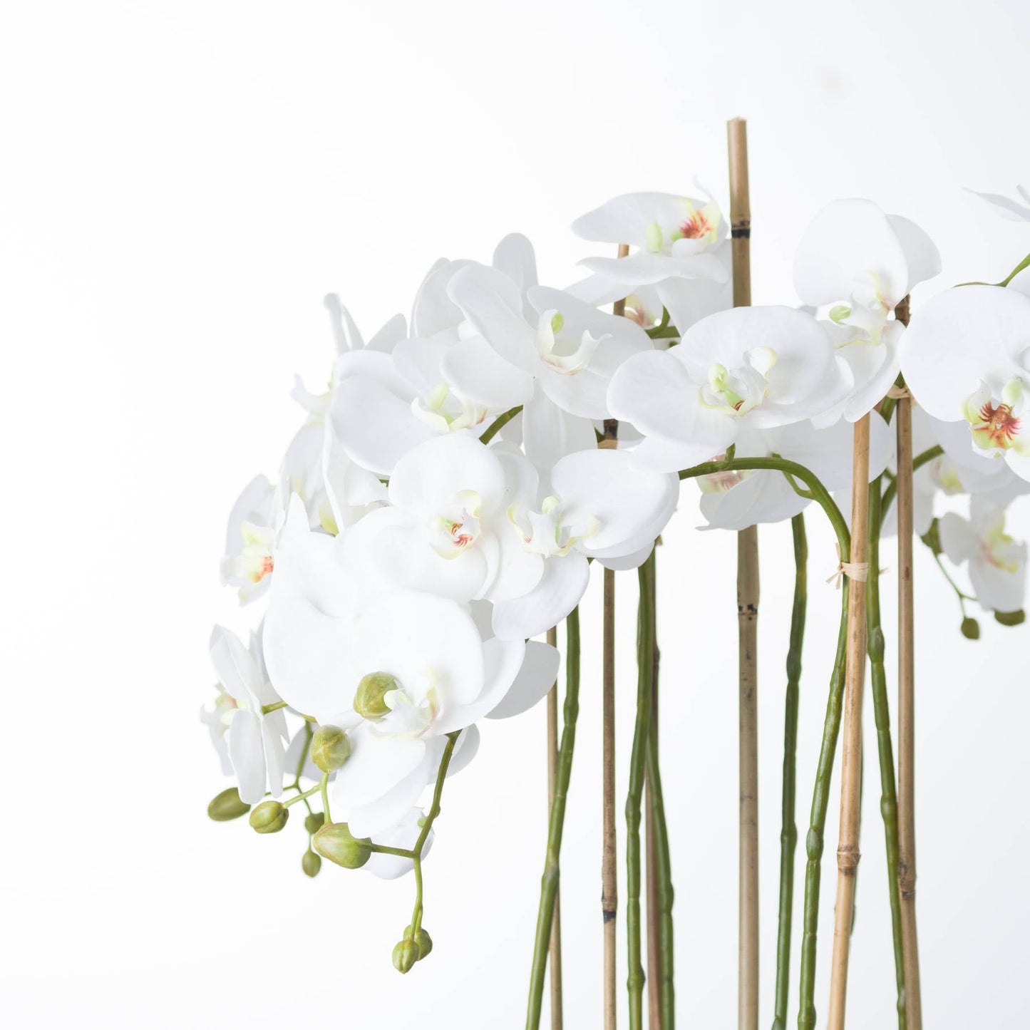 Artificial Tall White Orchid in Glass Pot 88x30cm