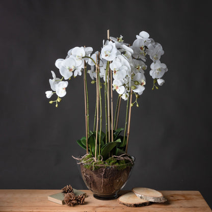 Artificial Tall White Orchid in Glass Pot 88x30cm