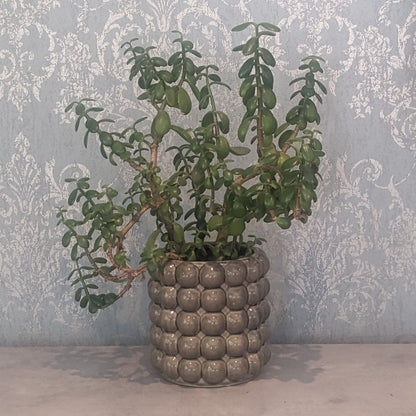 Large Bubble Planter Pot in Grey made of Ceramic