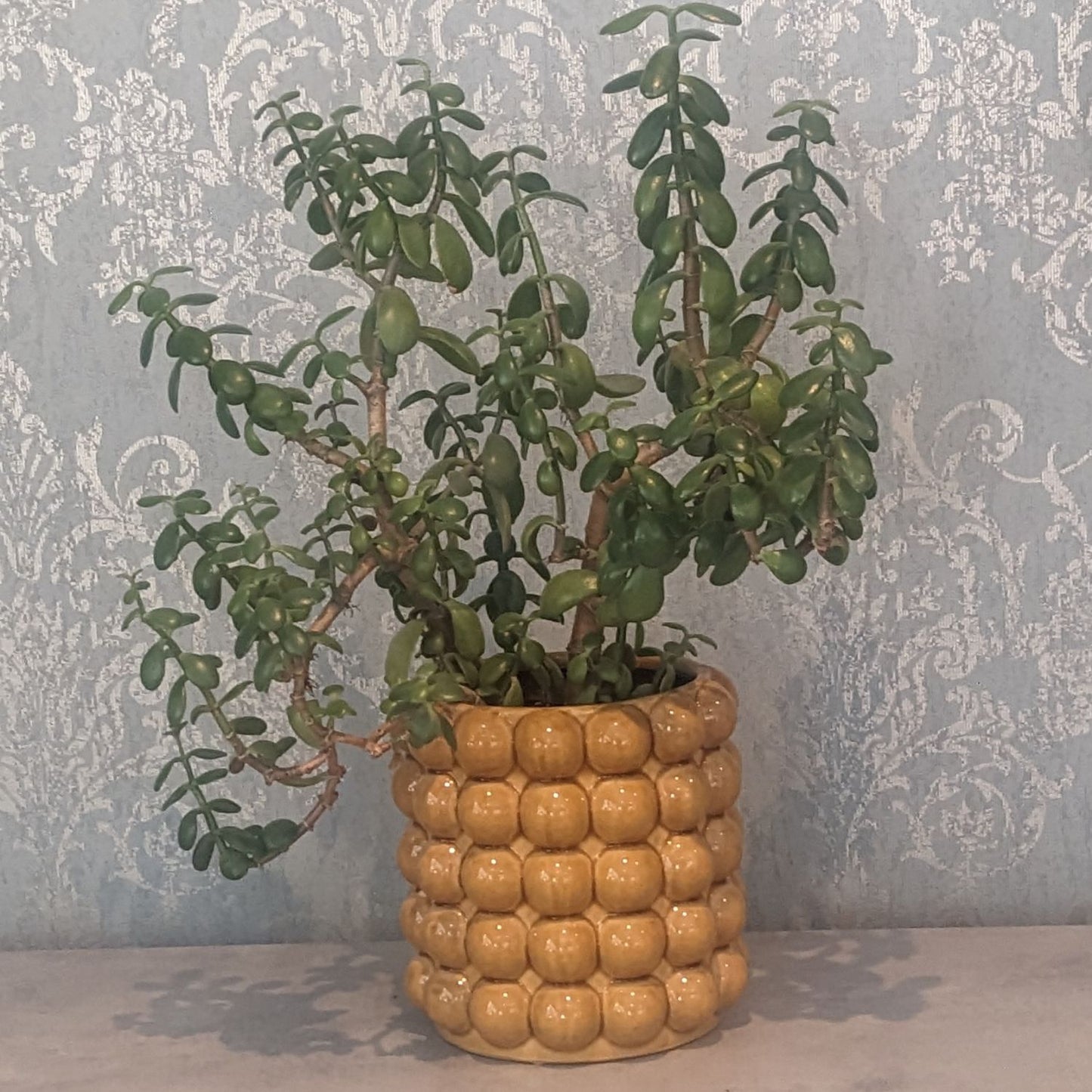 Large Bubble Planter Pot in Yellow Orange Ochre made of Ceramic