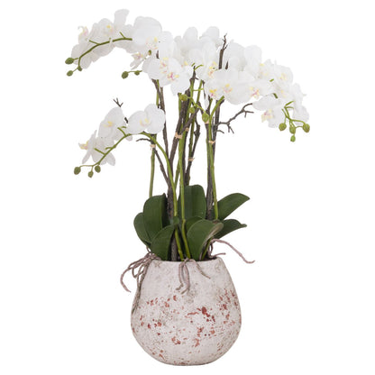 Large Lifelike White Orchid in Stone Pot 70cm