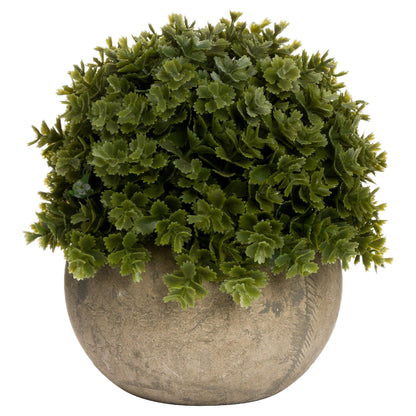 Artificial Miniature Shrubby Veronica Hebe in Stone-Effect Pot