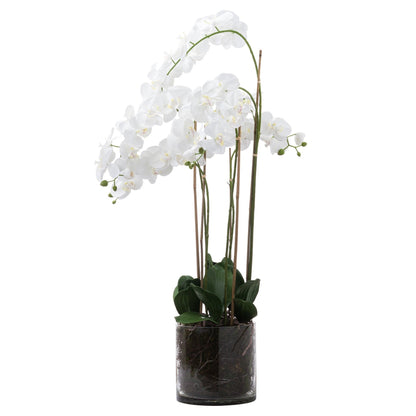 Artificial Large White Orchid in Glass Pot 126x57cm