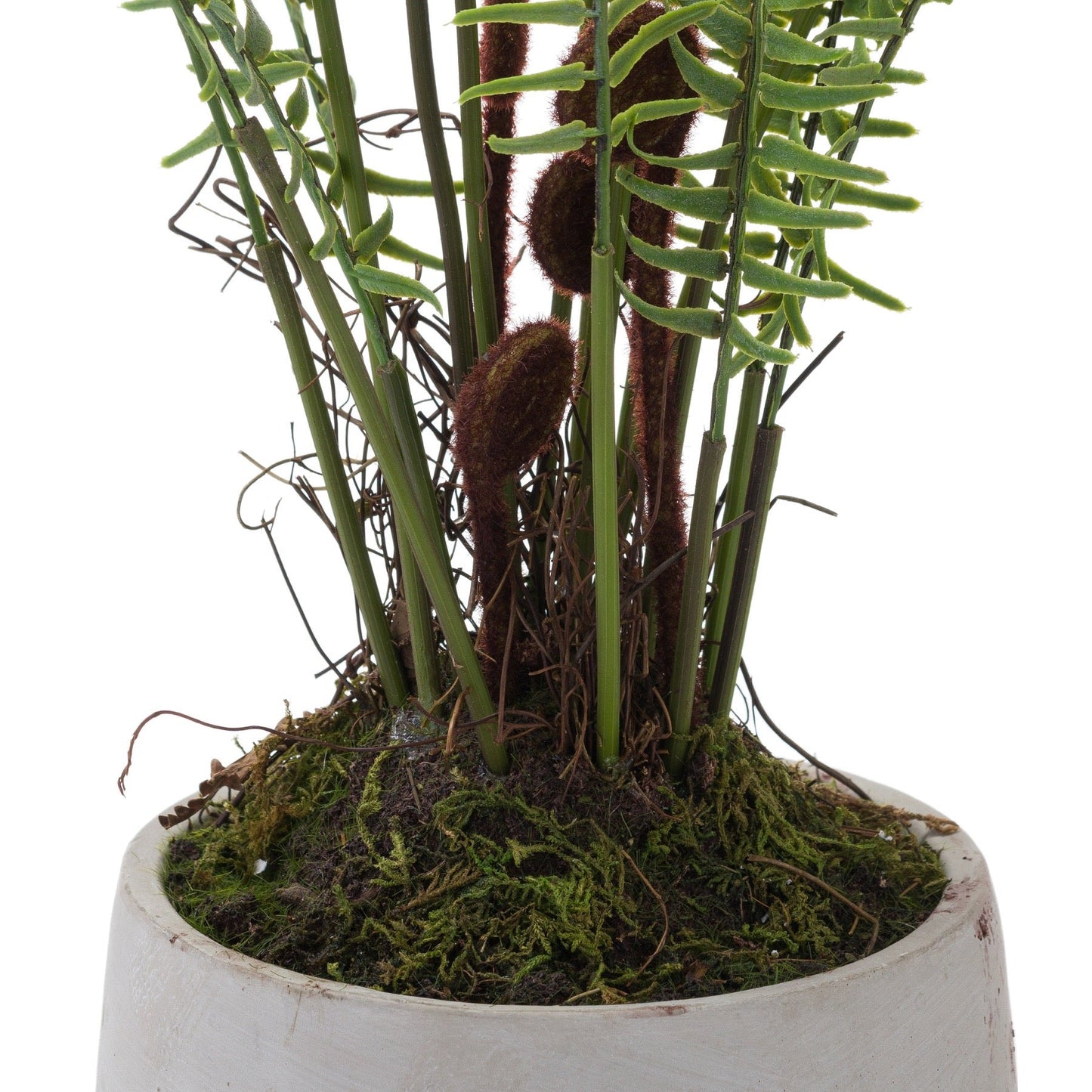 Artificial Large Potted Boston Fern with Unfurled Fronds 67x60cm
