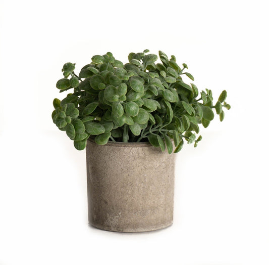 Artificial Basil Plant in Stone-Effect Pot