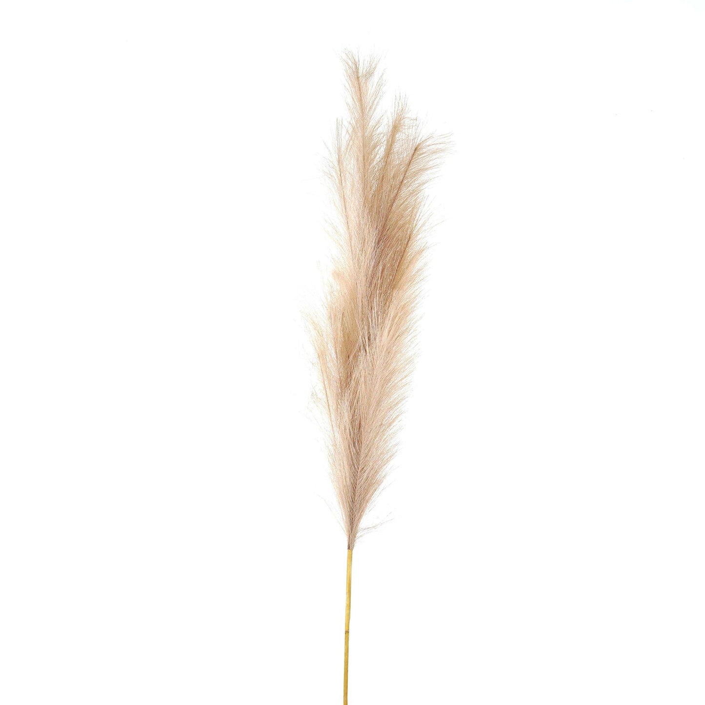 Bleached Faux Pampas Grass Stem 120cm