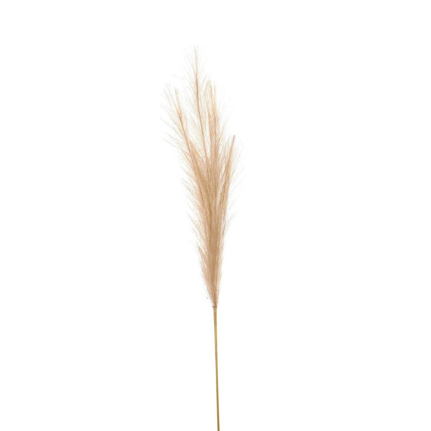 Bleached Faux Pampas Grass Stem 85cm