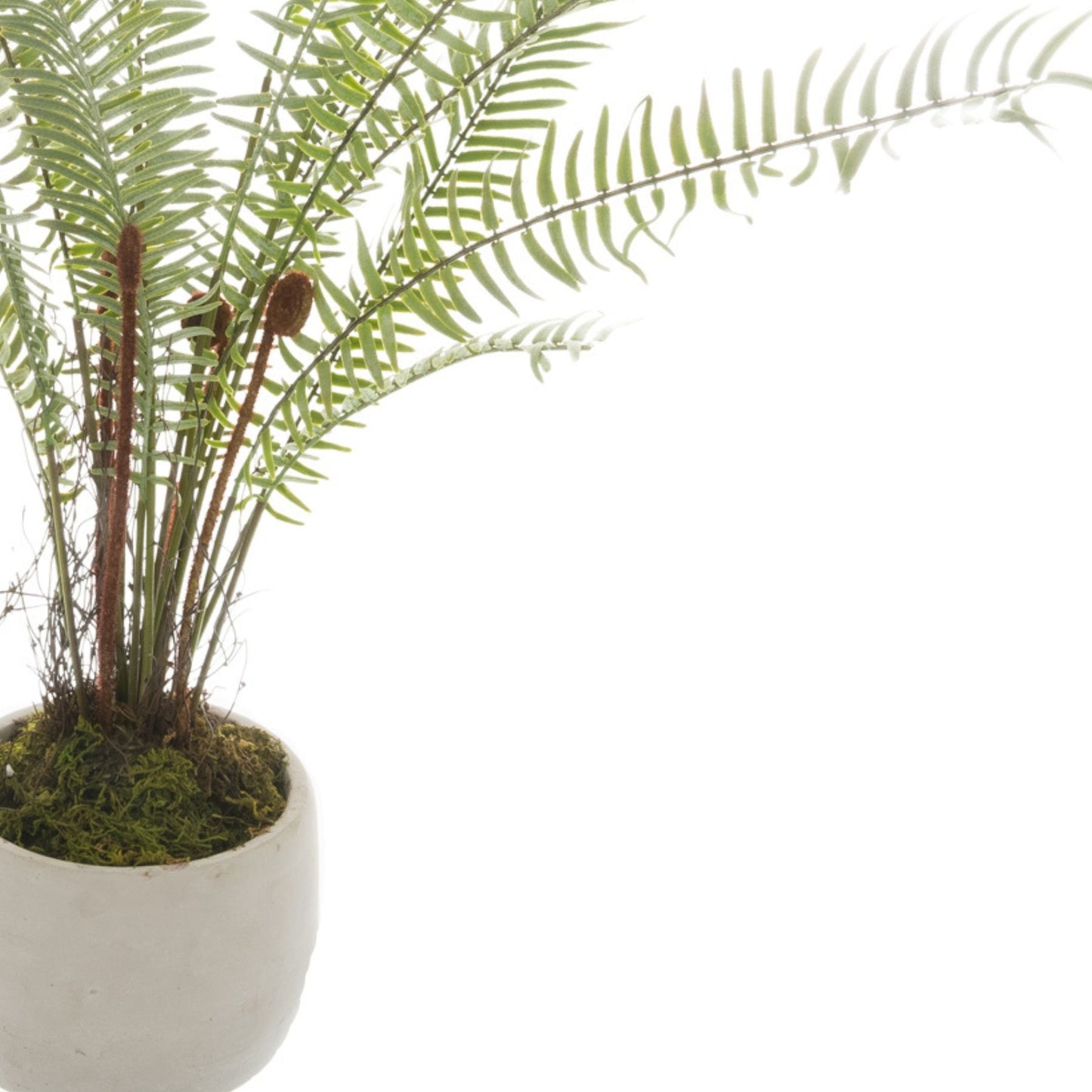 Artificial Small Boston Fern in White Stone Pot