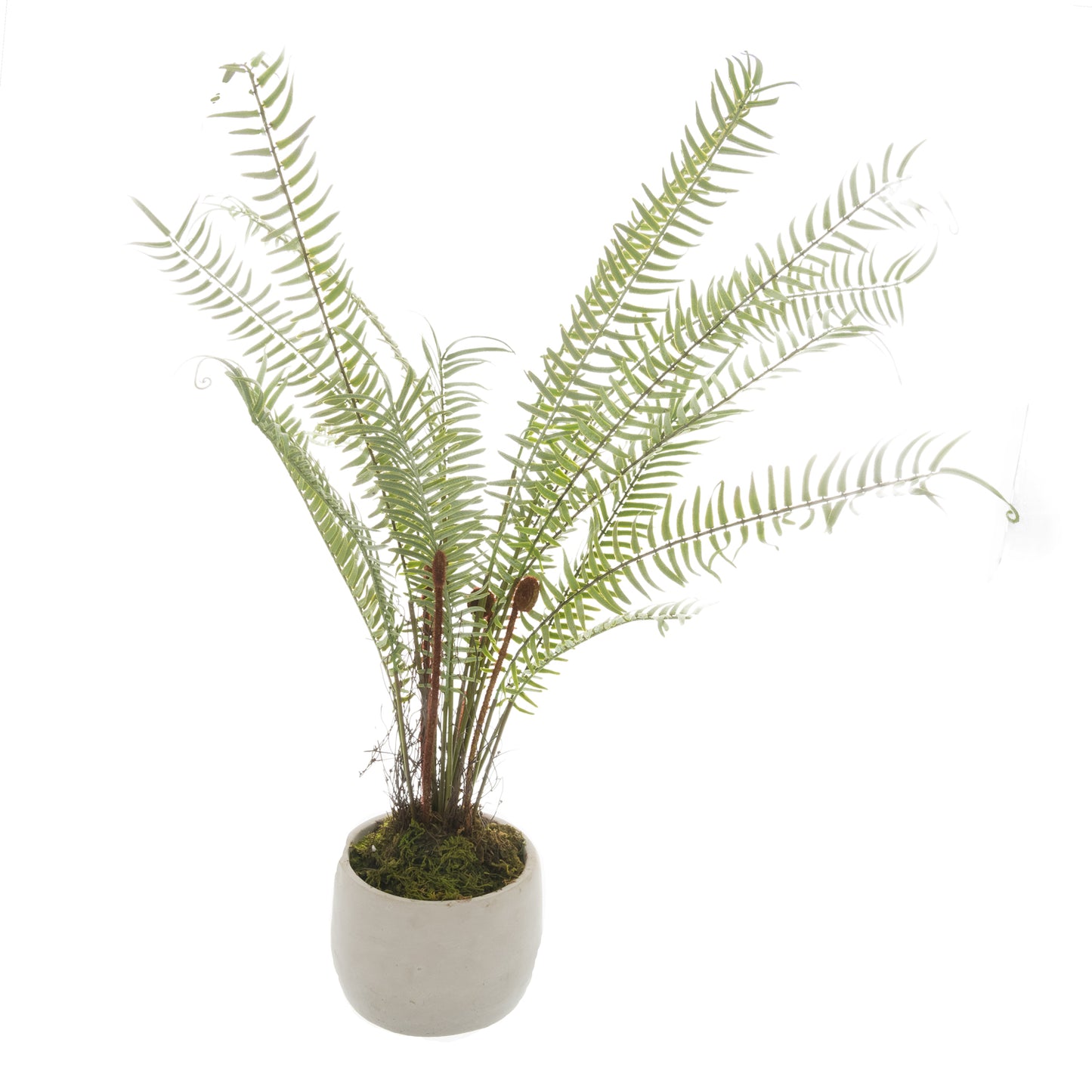 Artificial Small Boston Fern in White Stone Pot