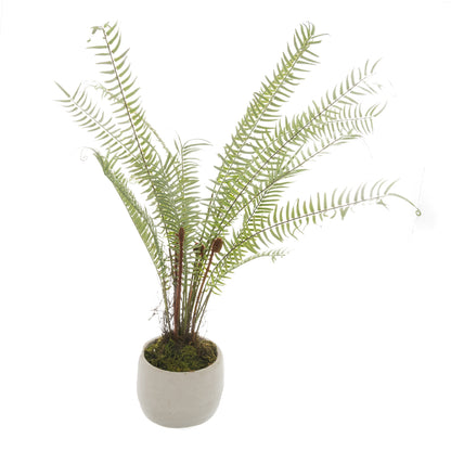 Artificial Small Boston Fern in White Stone Pot