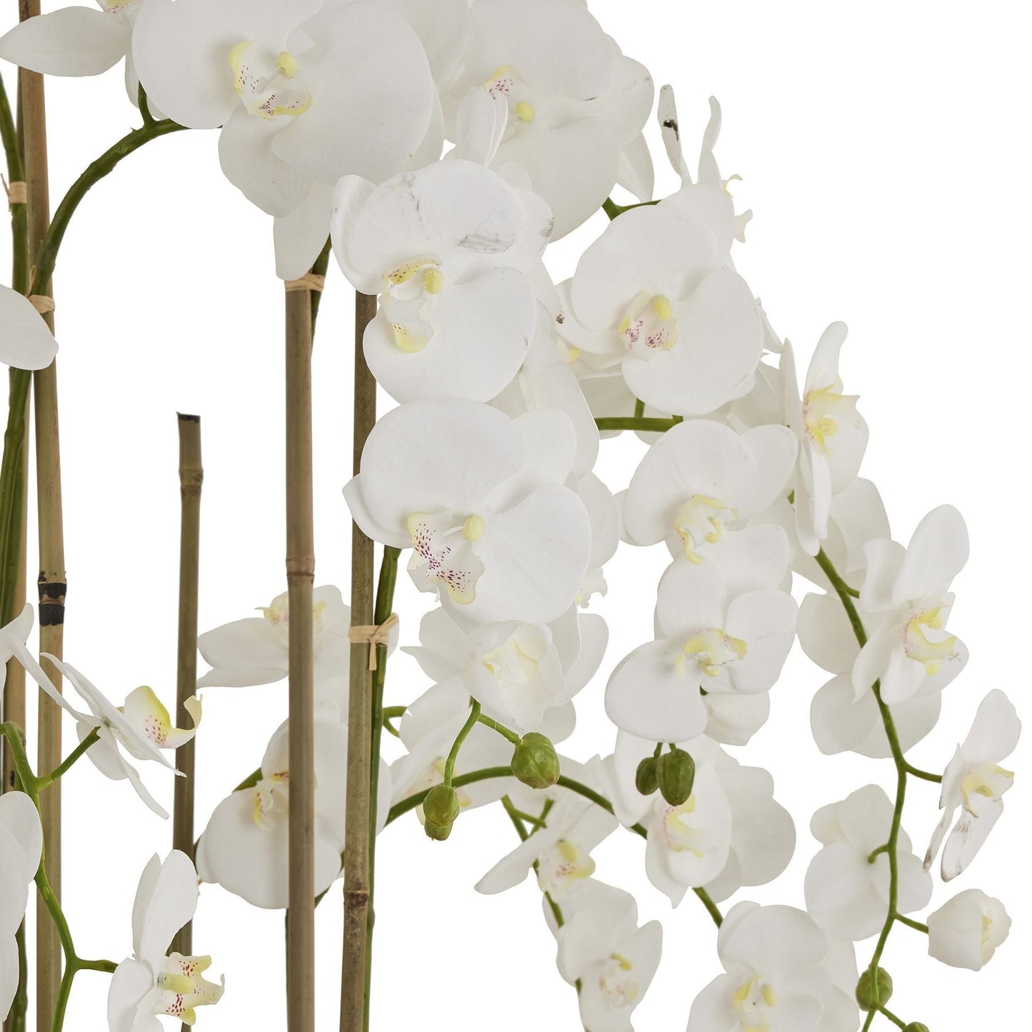 Artificial Extra Large Floor Standing White Orchid in Rustic Pot 153x40cm