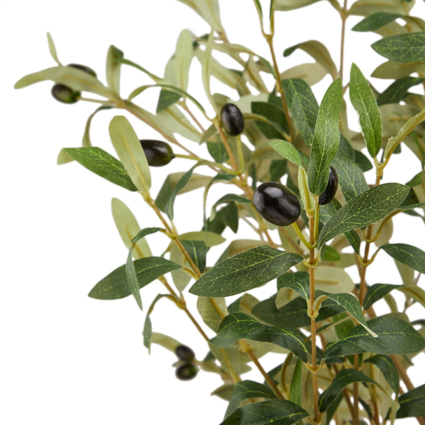 Large Faux Puglian Olive Tree 180cm