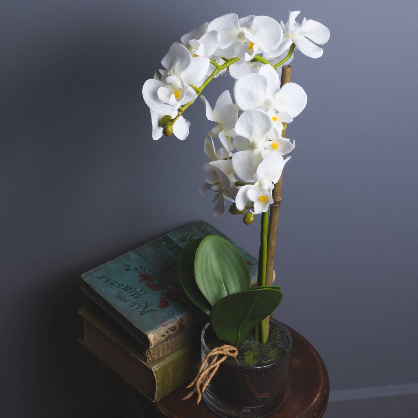Artificial White Orchid Plant in Glass Pot 53x12cm