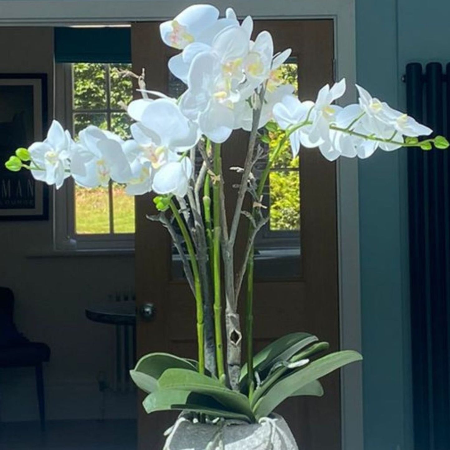 White Orchid Displayed in a Stone Pot