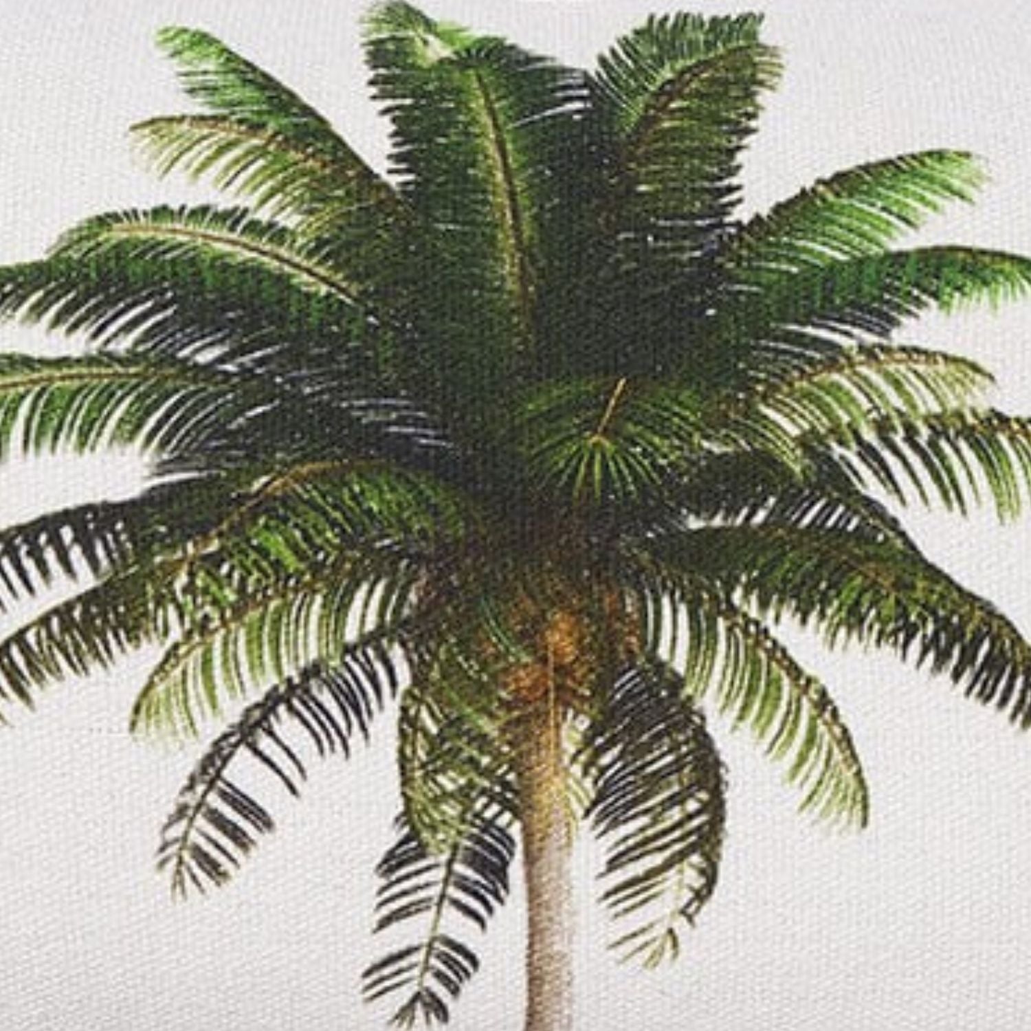 White, black and green cushion 30x50 Palm tropical lumbar design