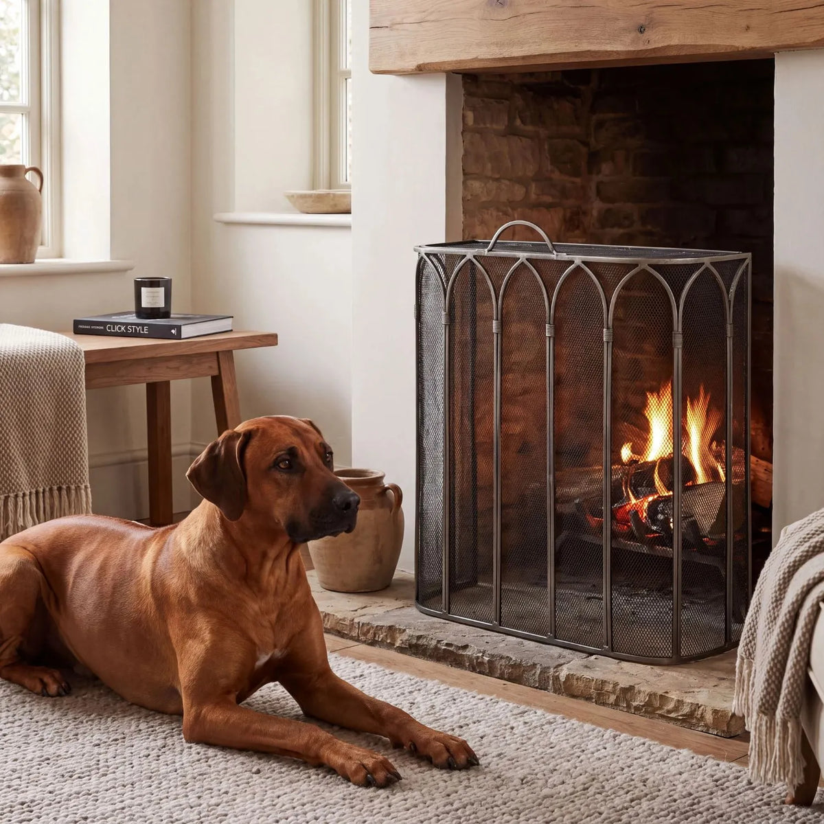 Antique Pewter & Black Firescreen with Top Handle & Gothic Arch Design – Metal Mesh Fireplace Fire Guard 65x55x21cm styled beside a Rhodesian Ridgeback in a cosy fireside living room | Click Style