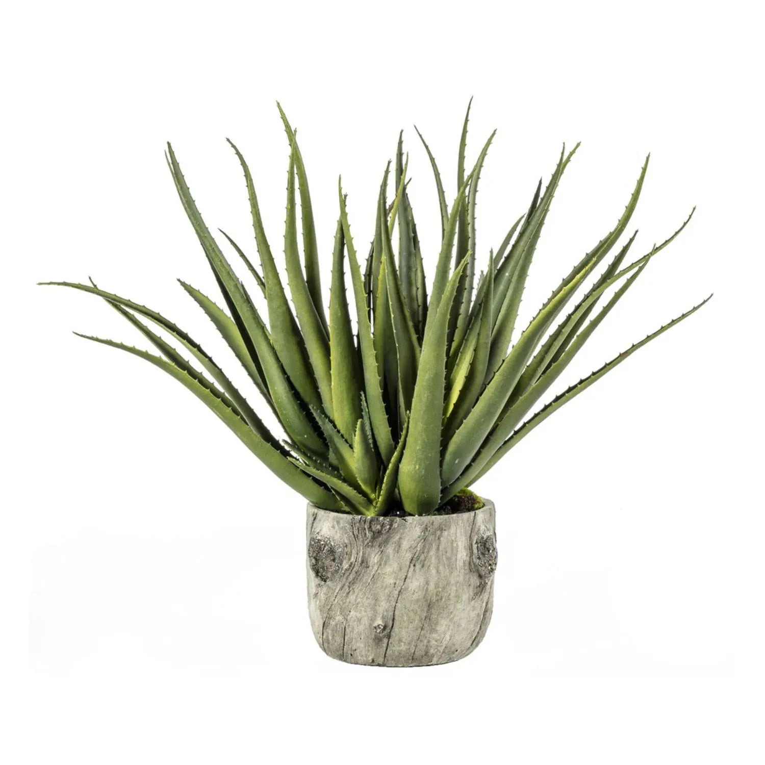 Artificial Aloe Plant in Round Bark Effect Pot – Large Realistic Faux Succulent Plant with Spiky Variegated Green Aloe Leaves in Rustic Tree Trunk Style Grey Cement Planter for Living Room, Bedroom, Bathroom, Office, Console Table, Side Table or Shelf Styling 53x35x35cm | Click Style