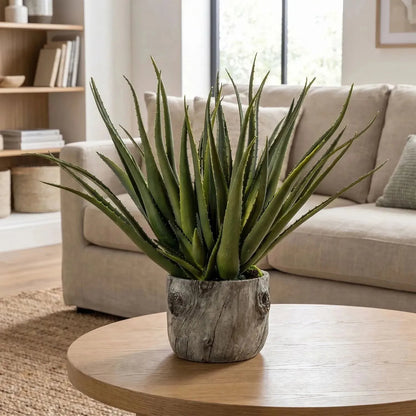 Artificial Aloe Plant with Grey & Brown Bark Effect Pot – Realistic Faux Succulent Plant 53x35x35cm – Styled on Round Wooden Coffee Table | Click Style
