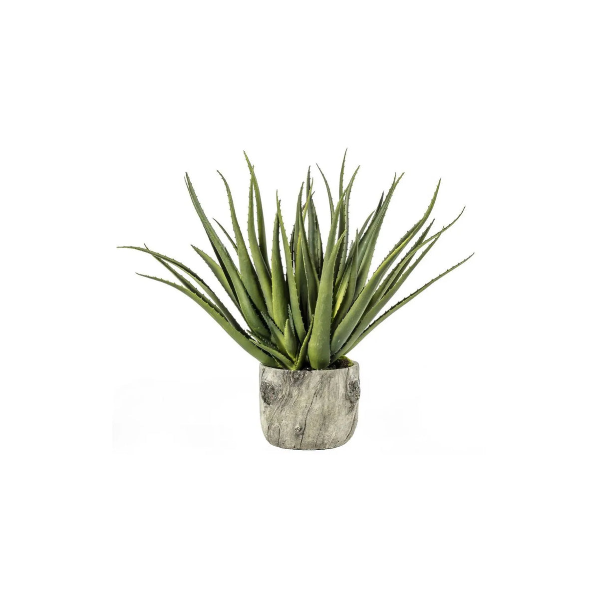 Artificial Aloe Plant with Grey & Brown Bark Effect Pot – Realistic Faux Succulent Plant 53x35x35cm – Full Product View | Click Style