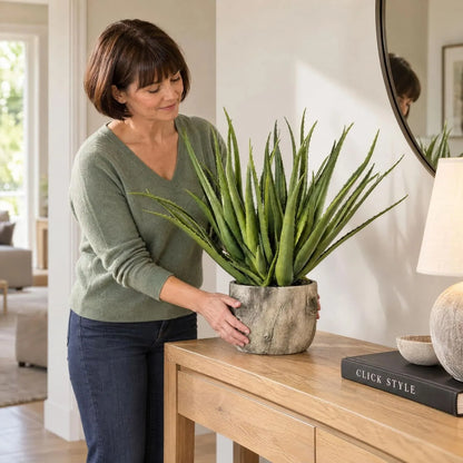 Artificial Aloe Plant with Grey & Brown Bark Effect Pot – Realistic Faux Succulent Plant 53x35x35cm – Woman Styling on Natural Oak Console Table | Click Style
