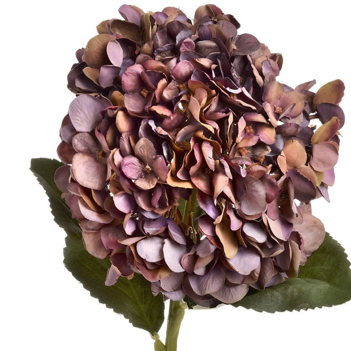 Artificial Antique Mauve & Copper Hydrangea Stem with Burgundy Petals & Realistic Green Leaves – Lifelike Faux Brown Hydrangea Flower 42x18x18cm – Detailed View of Antique Mauve Copper and Burgundy Hydrangea Petals | Click Style
